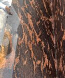 Fish Golden Granite