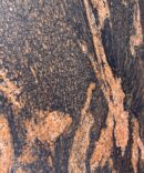 Fish Golden Granite